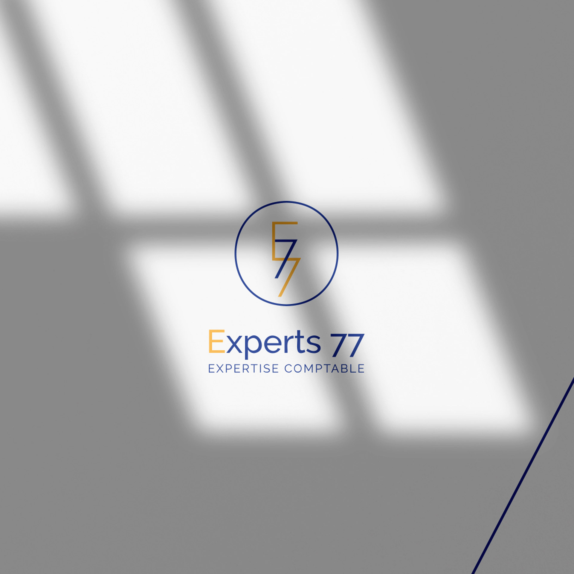 Experts 77 2