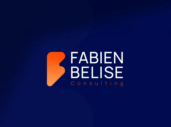 Fabien Belise Consulting 4