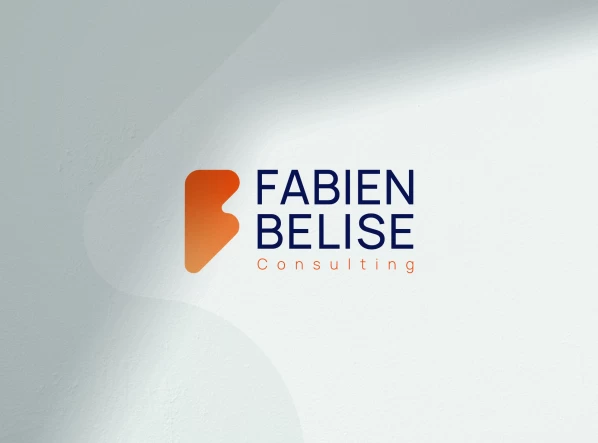 Fabien Belise Consulting 1